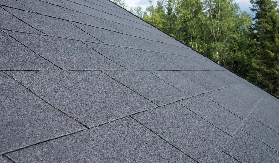 Palahuopa eli kattolaatta Plano XL lähikuvassa katolla